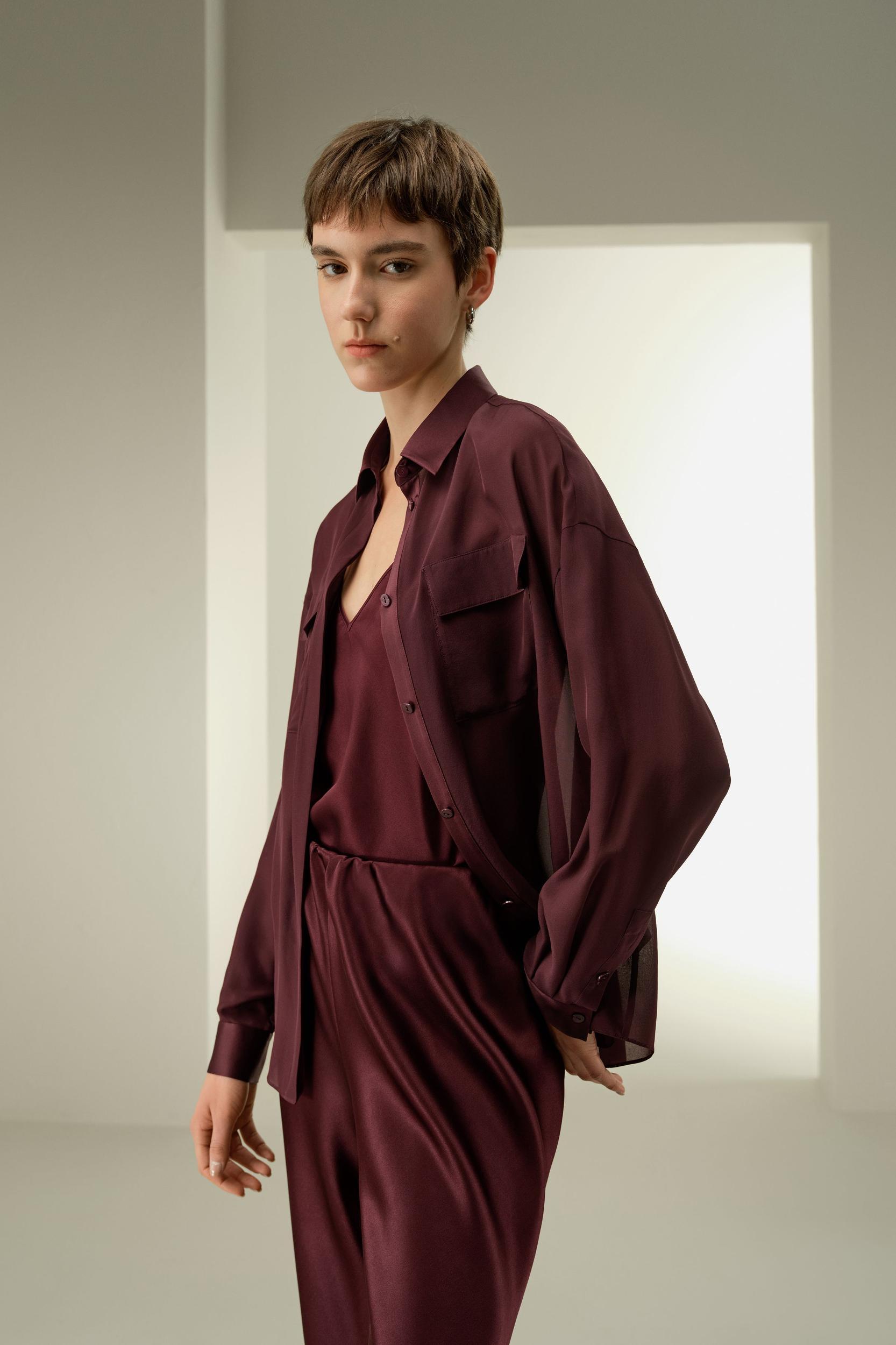 Semi-Sheer Silk Chiffon Blouse Product Image