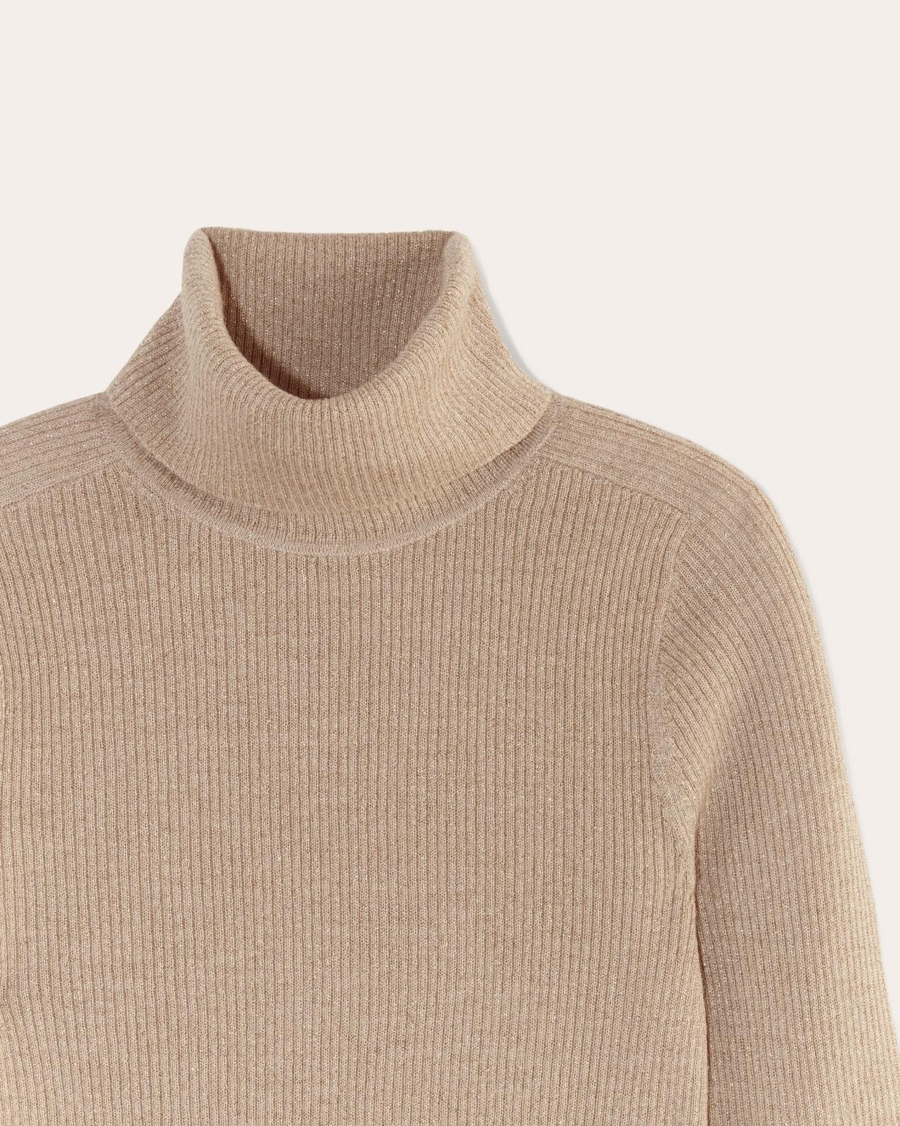 Womens Turtleneck in Lurex Merino Sweater by Everlane Product Image