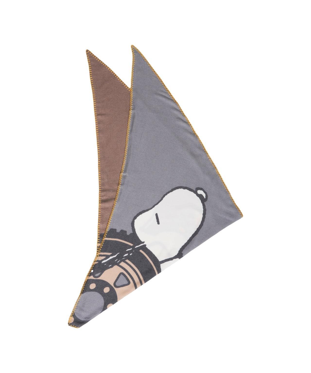 Scarf with print Product Image