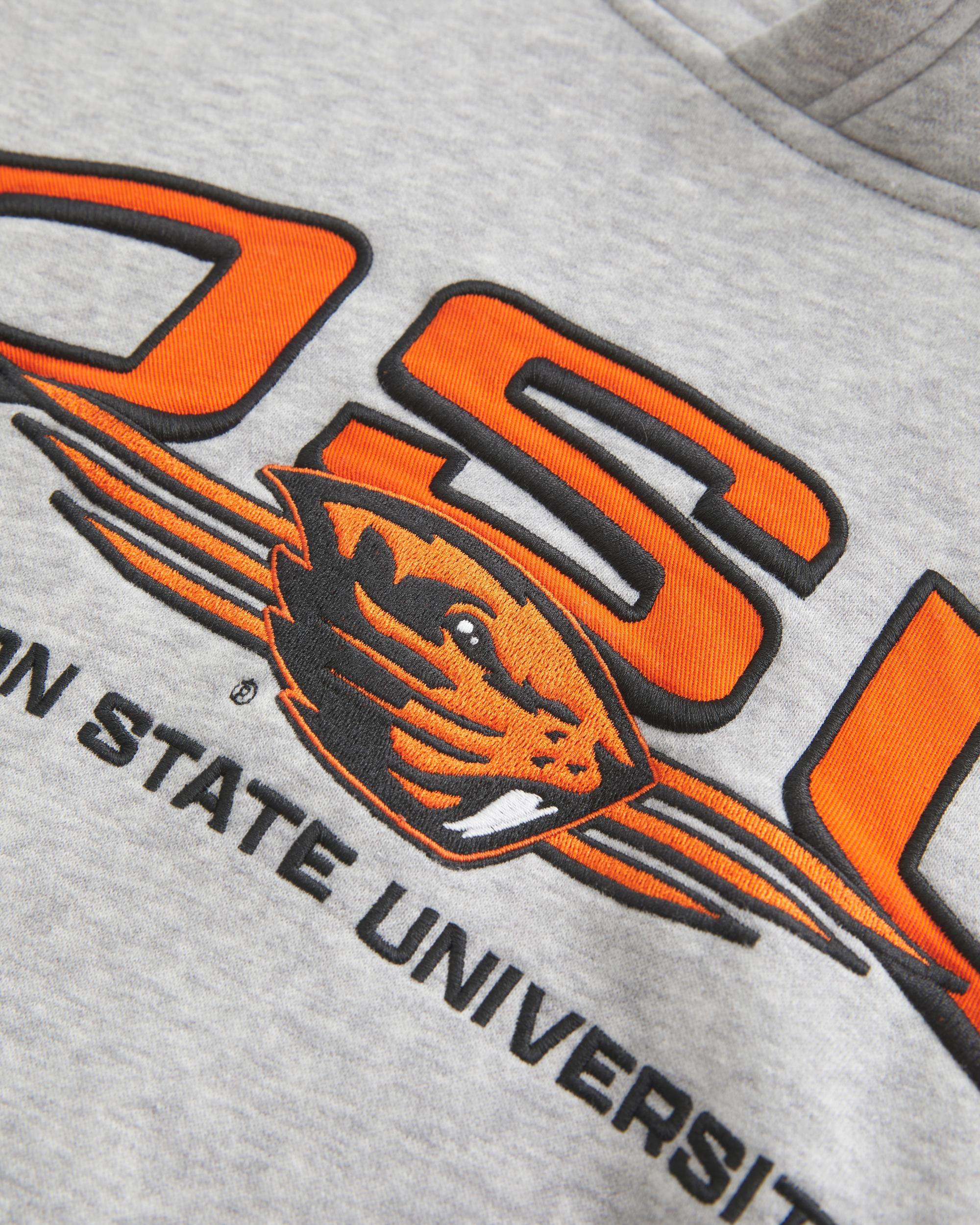 Northwestern Wildcats Graphic Crew Sweatshirt Product Image