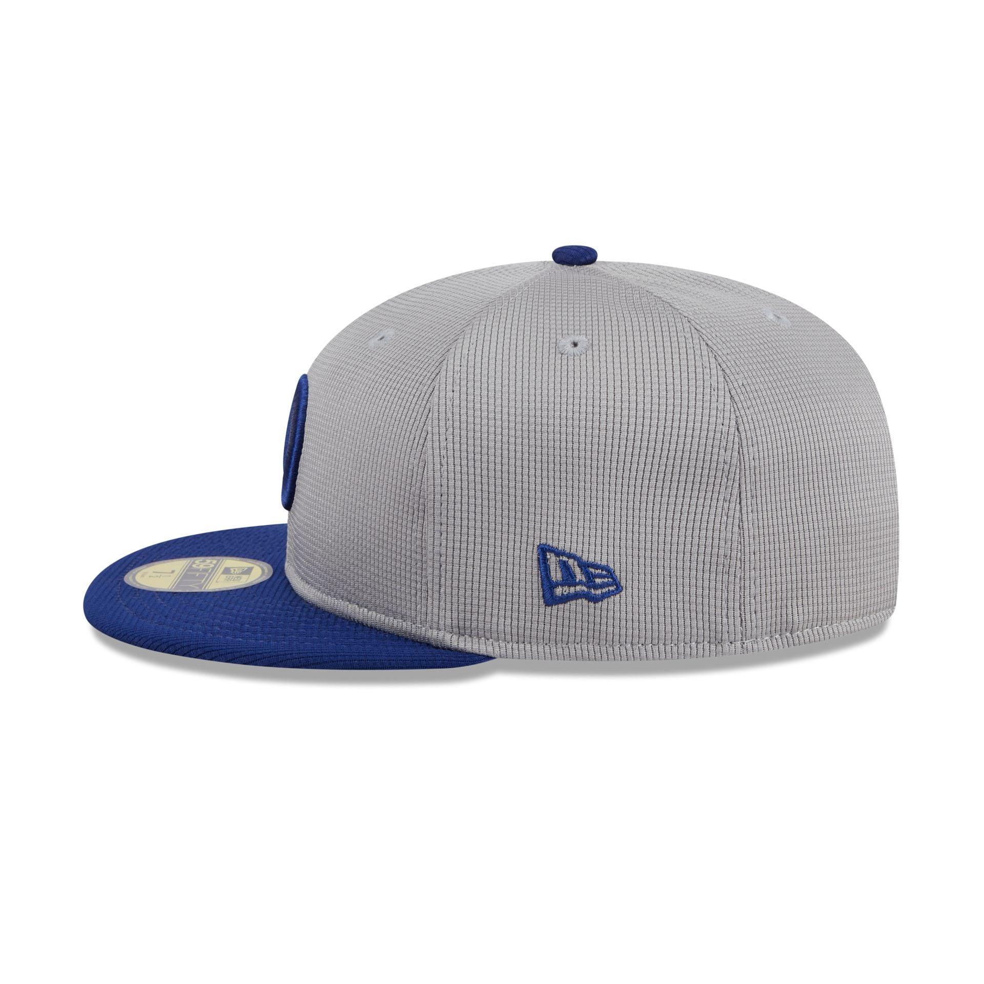 Los Angeles Dodgers 2025 Batting Practice Gray 59FIFTY Fitted Male Product Image