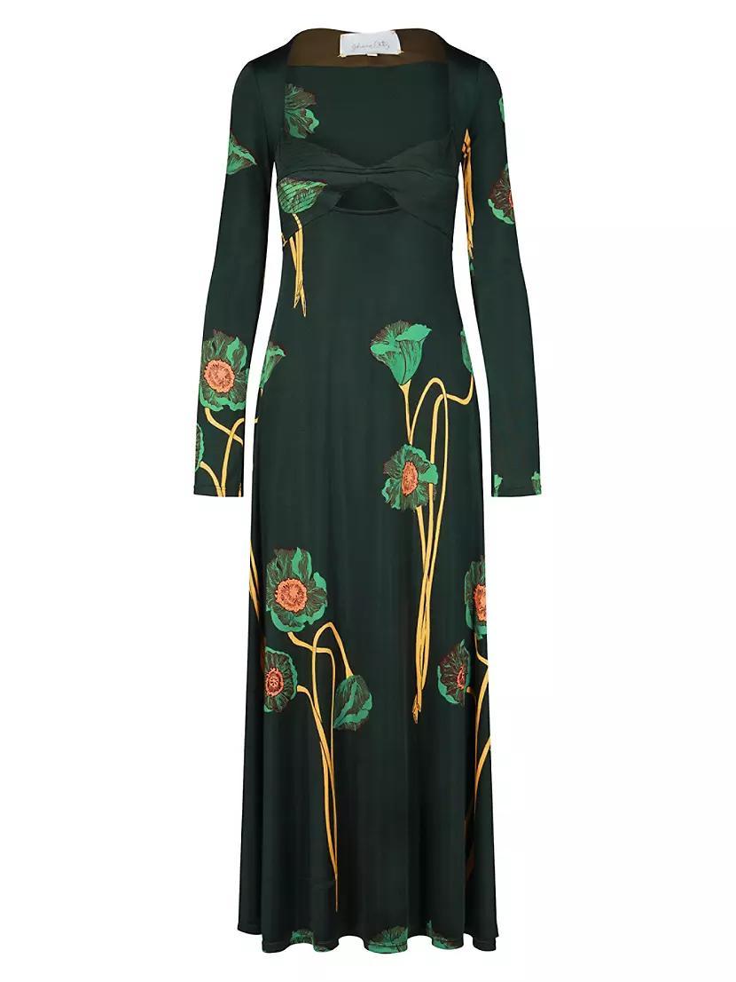 Paisaje Lejano Maxi Dress Product Image