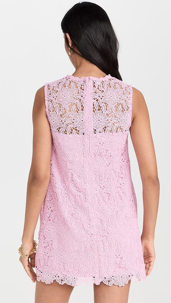 Self Portrait Pink Lace Mini Dress | Shopbop Product Image