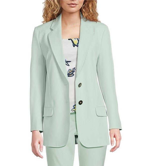 Marella Rubens Stretch Microfiber Canvas Notch Lapel Collar Long Sleeve Two-Button Jacket Product Image