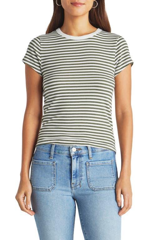 Splendid Candice Short Sleeve Crew Stripe) Women's Clothing Product Image