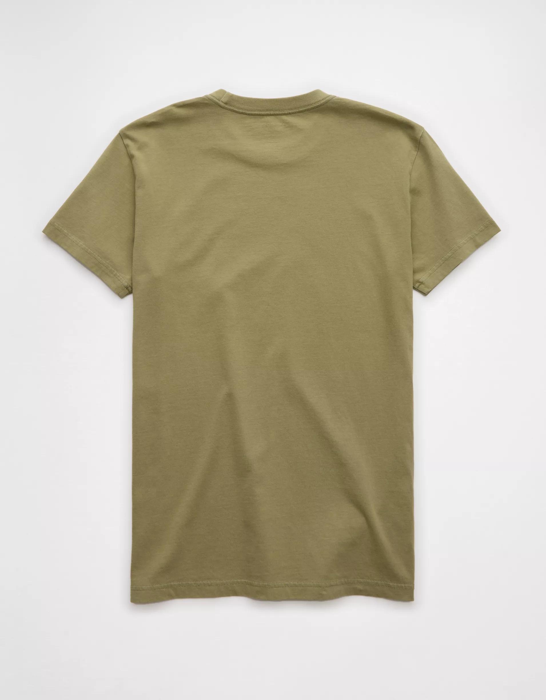 AE Lived-In Slim T-Shirt Product Image