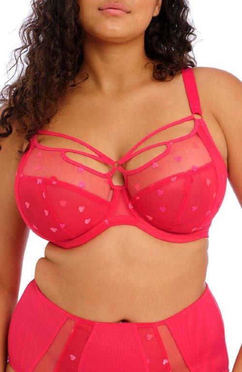 Sachi Cage Plunge Bra Product Image