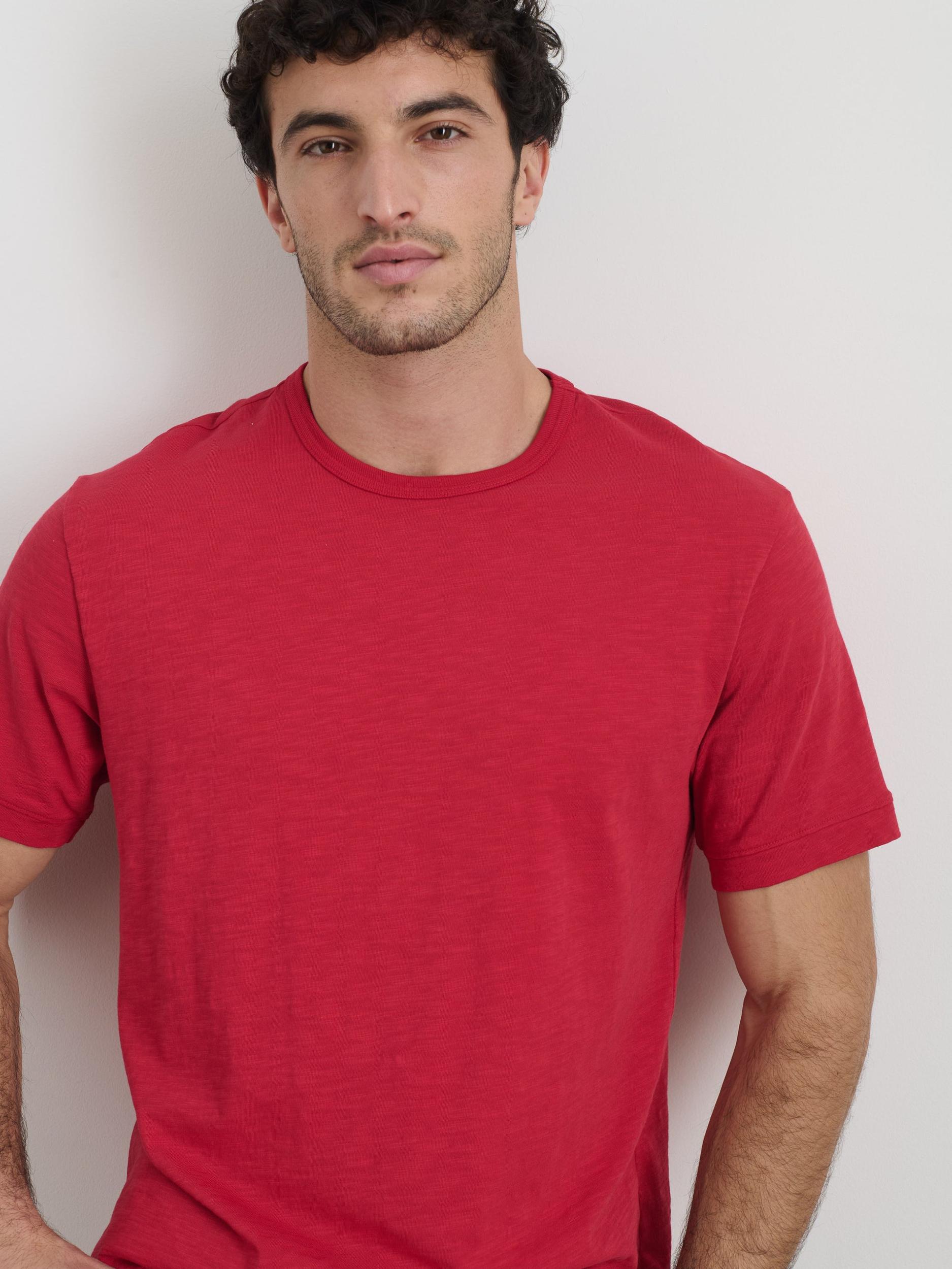 The Standard T-Shirt In Slub Cotton Product Image