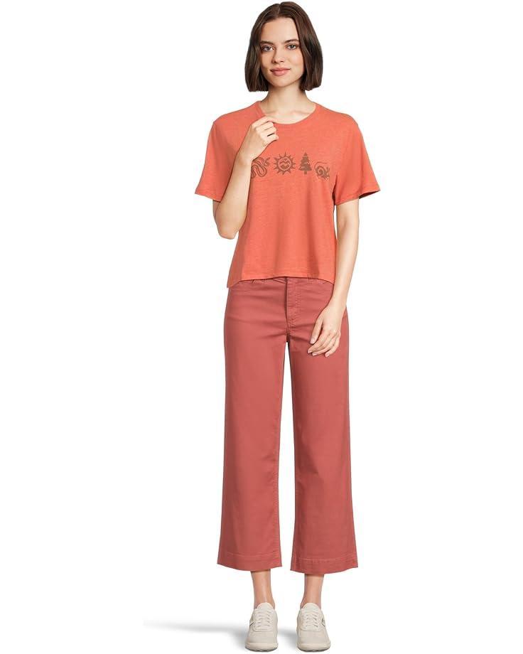 MSRP: $100(10% OFF) Product Image