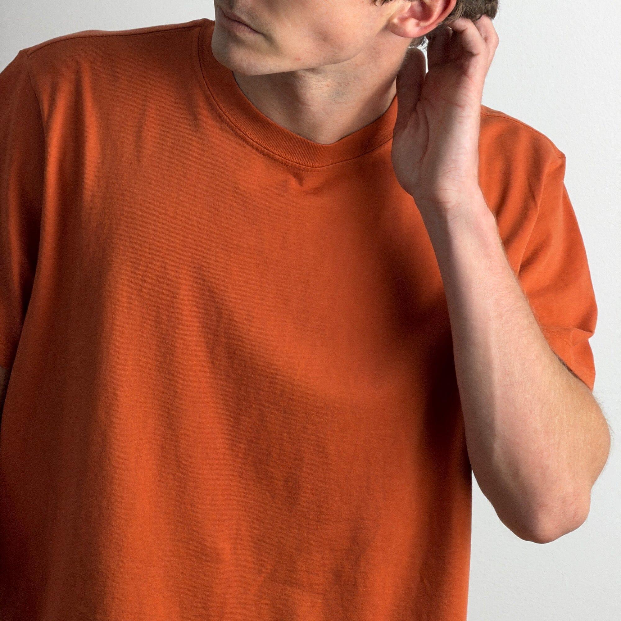 Silverlake Crop Tee II Product Image