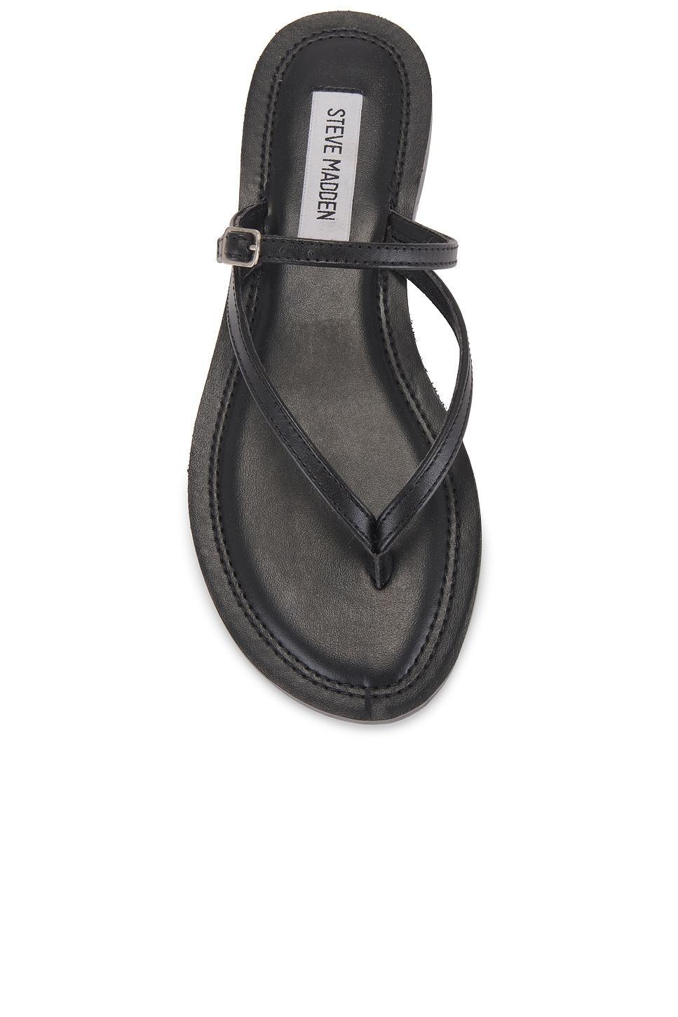 Roca Sandal Steve Madden Product Image