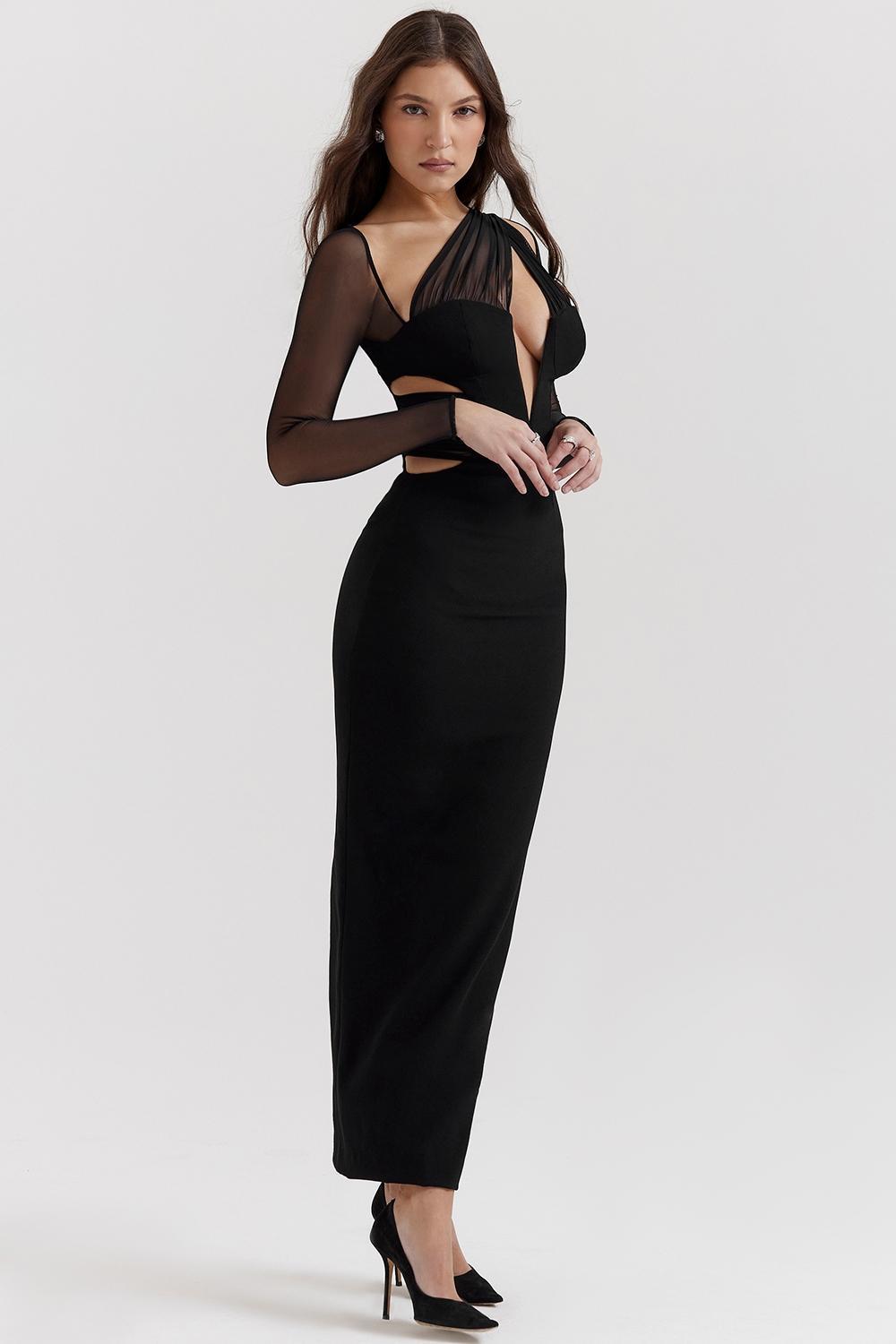 Zahra Black Plunge Maxi Dress Product Image