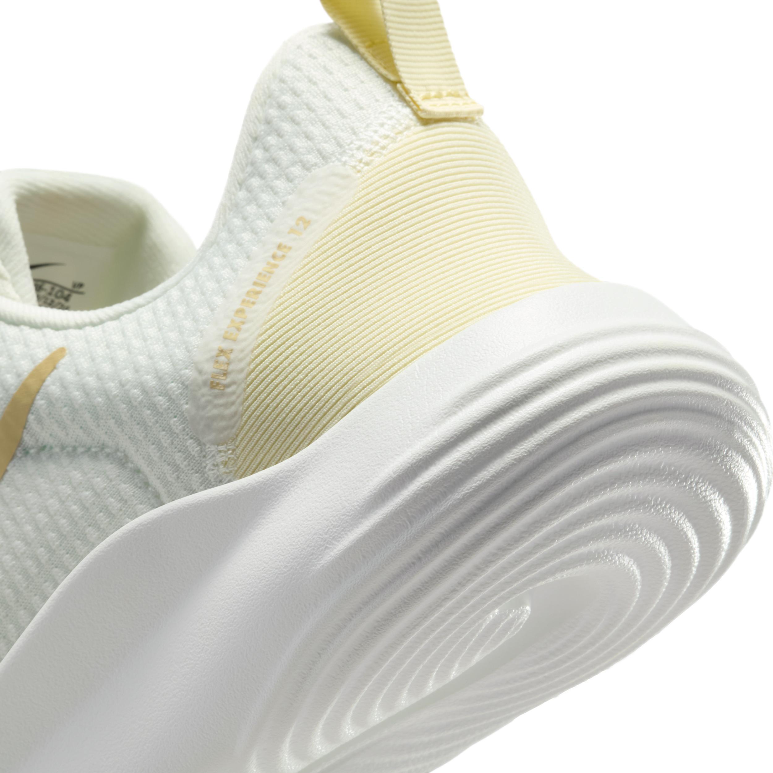 Nike Womens Flex Experience Run 12 Road Running Shoes | DV0746-104 Product Image