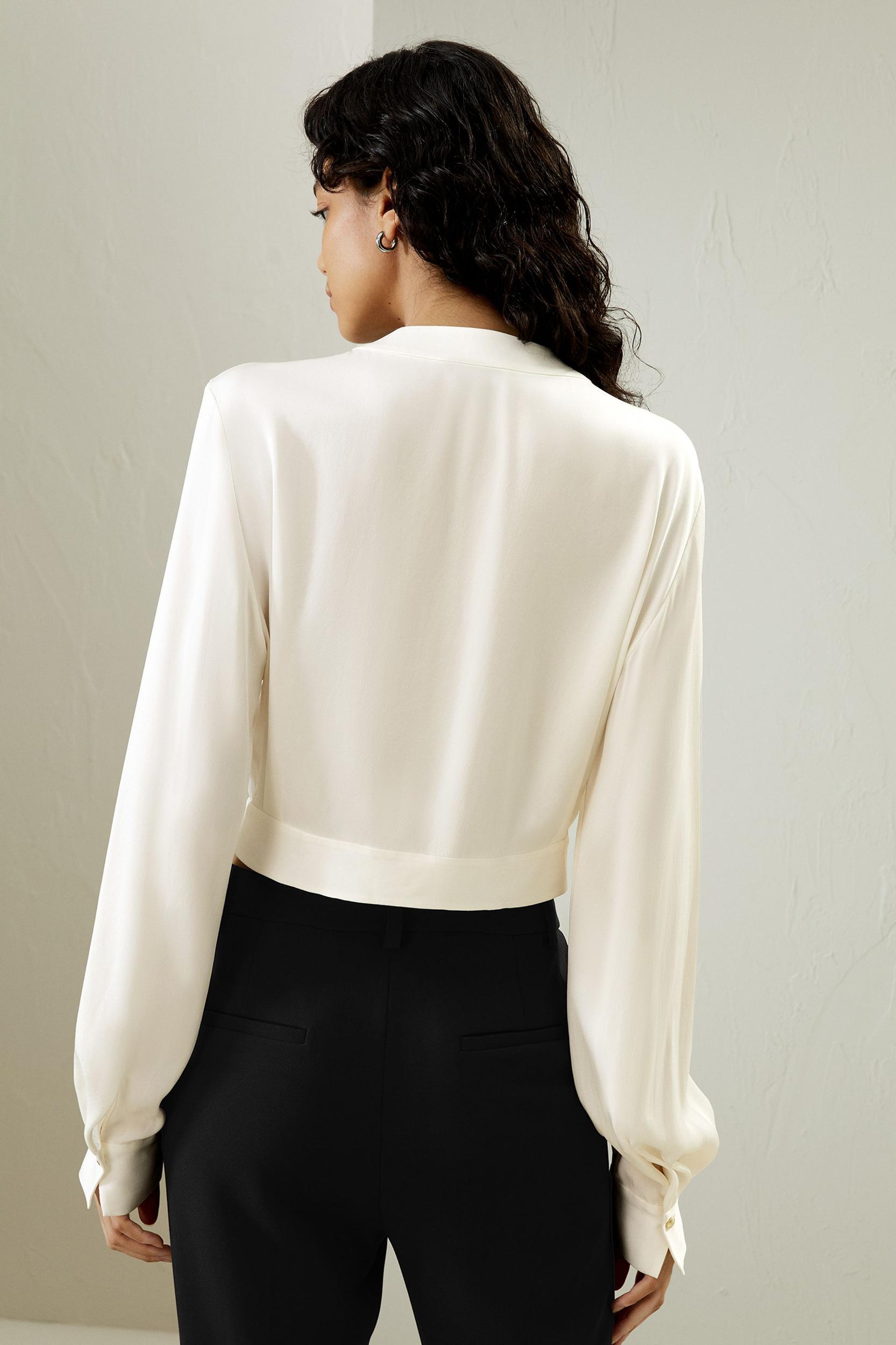 V-neck Collared Shirt Product Image