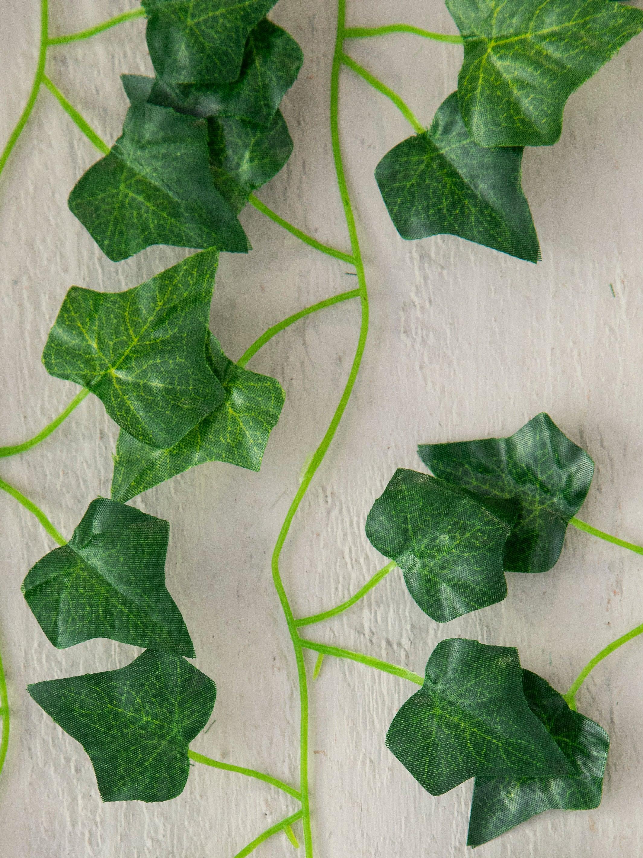 Vine Garland, Set of 5 Product Image