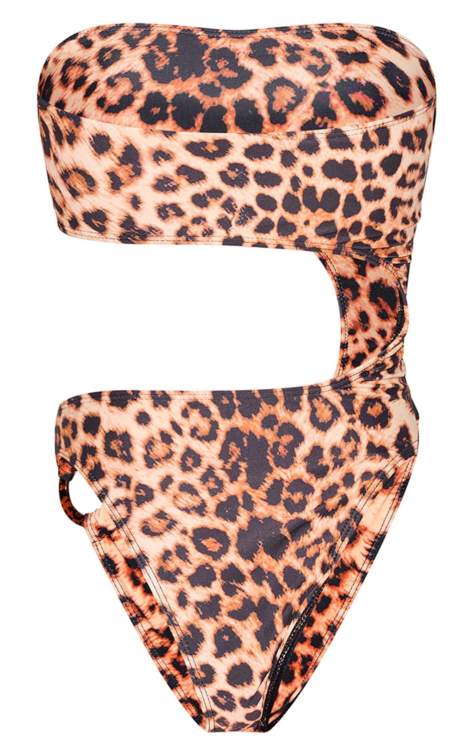 Brown Leopard Print Cut Out O Ring Trim Detail Swimsuit Product Image