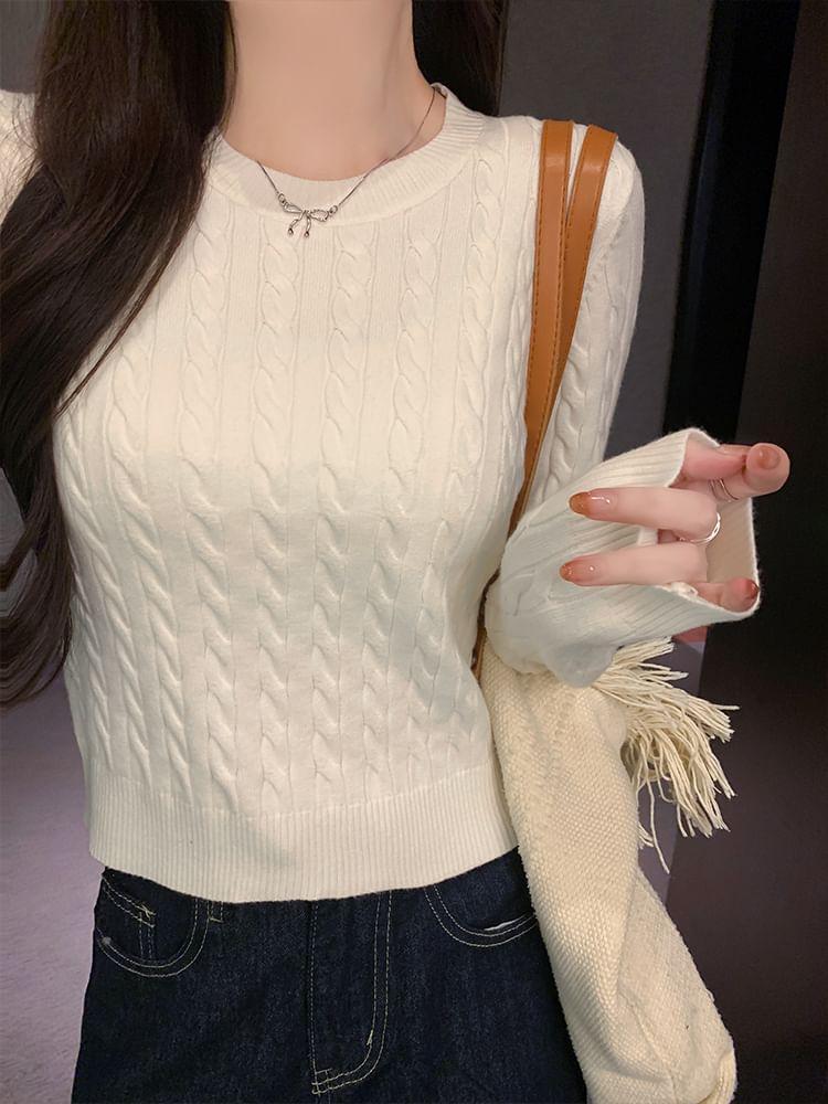 Crew Neck Plain Cable Knit Sweater Product Image