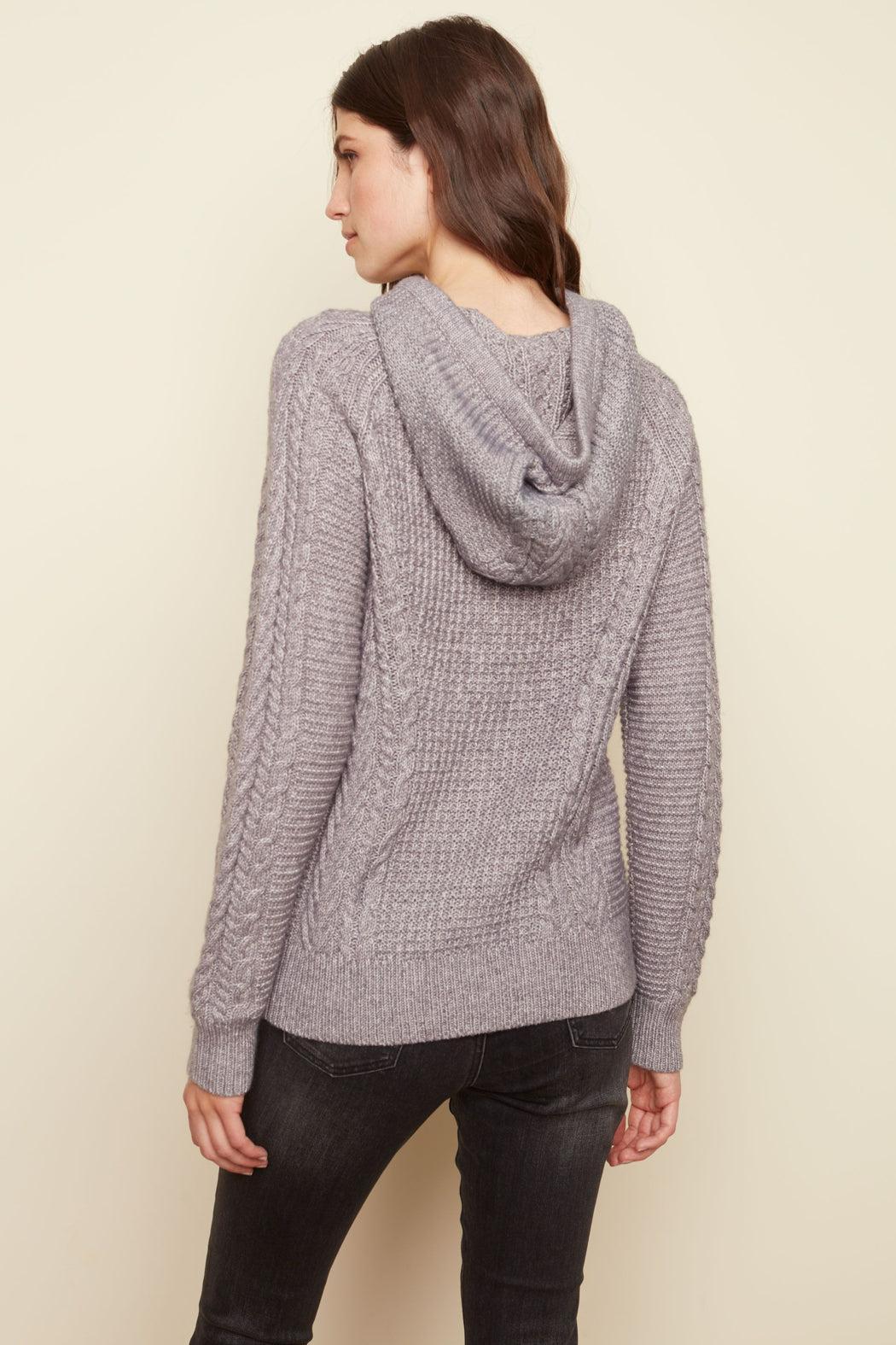 Hooded Raglan Sweater Product Image