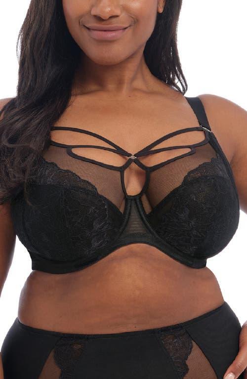 Brianna Cage Plunge Bra Product Image