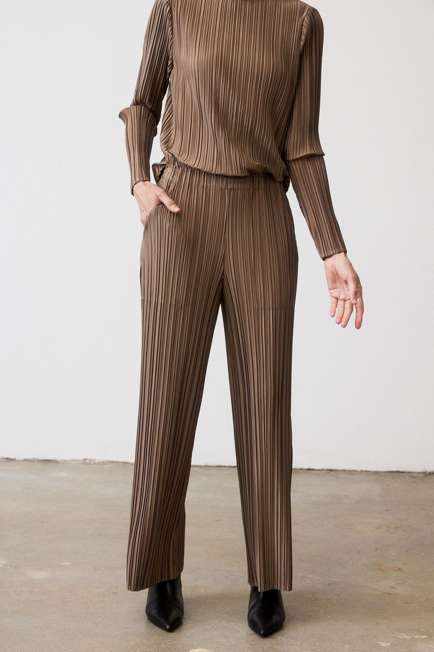 Relaxed Pleated Pants Product Image