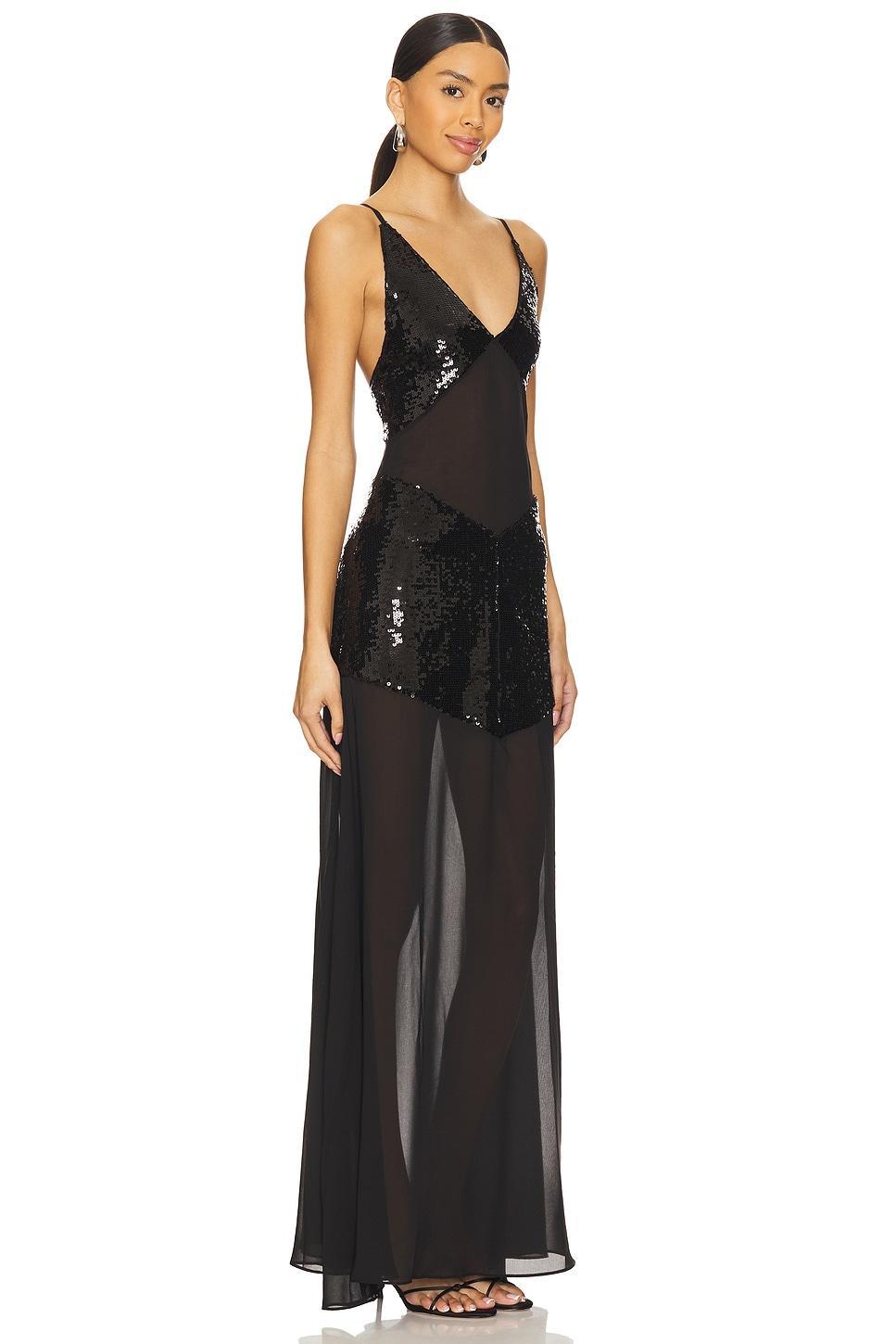 Sheer Panel Maxi Dress WeWoreWhat Product Image