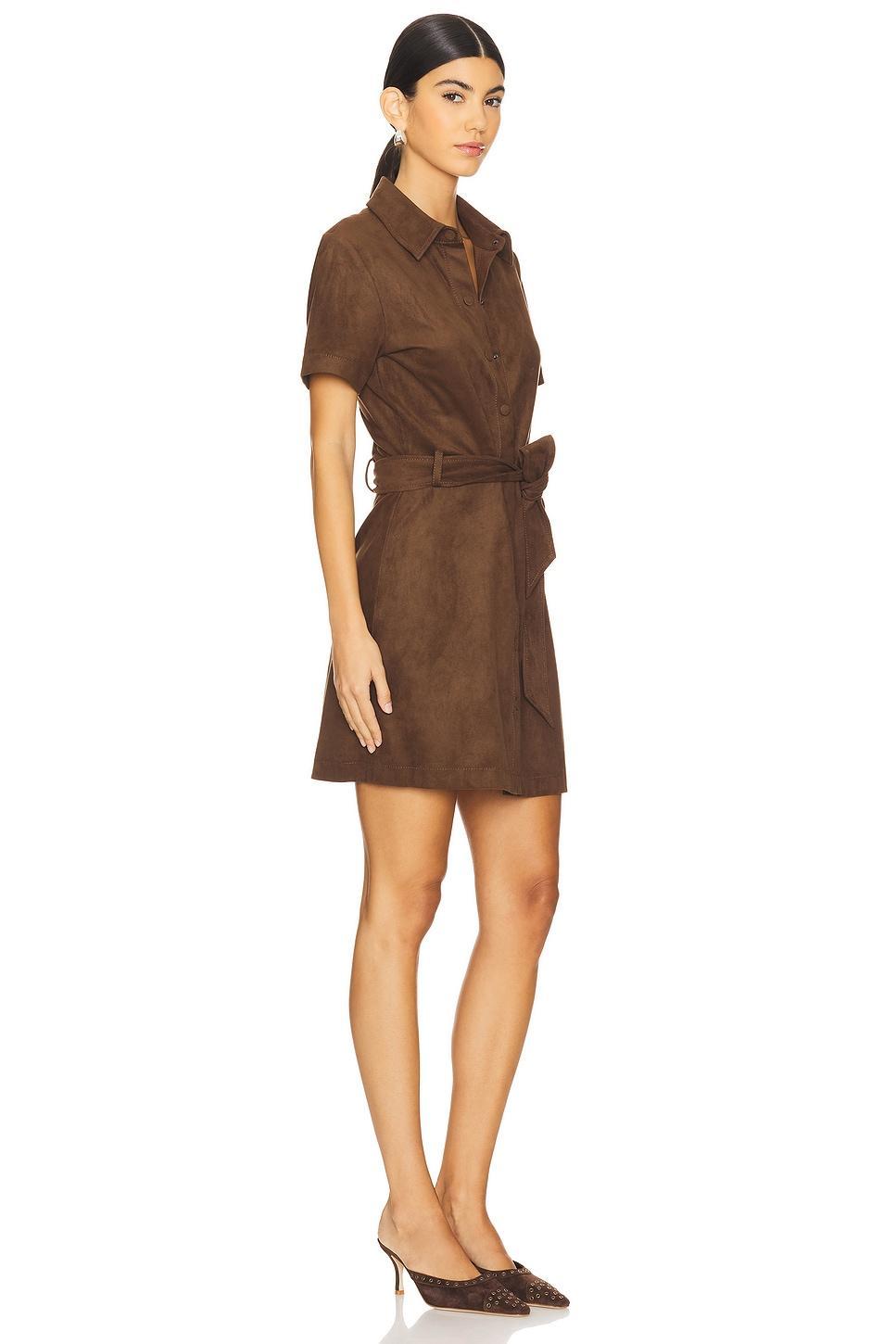 Jolene Dress Steve Madden Product Image