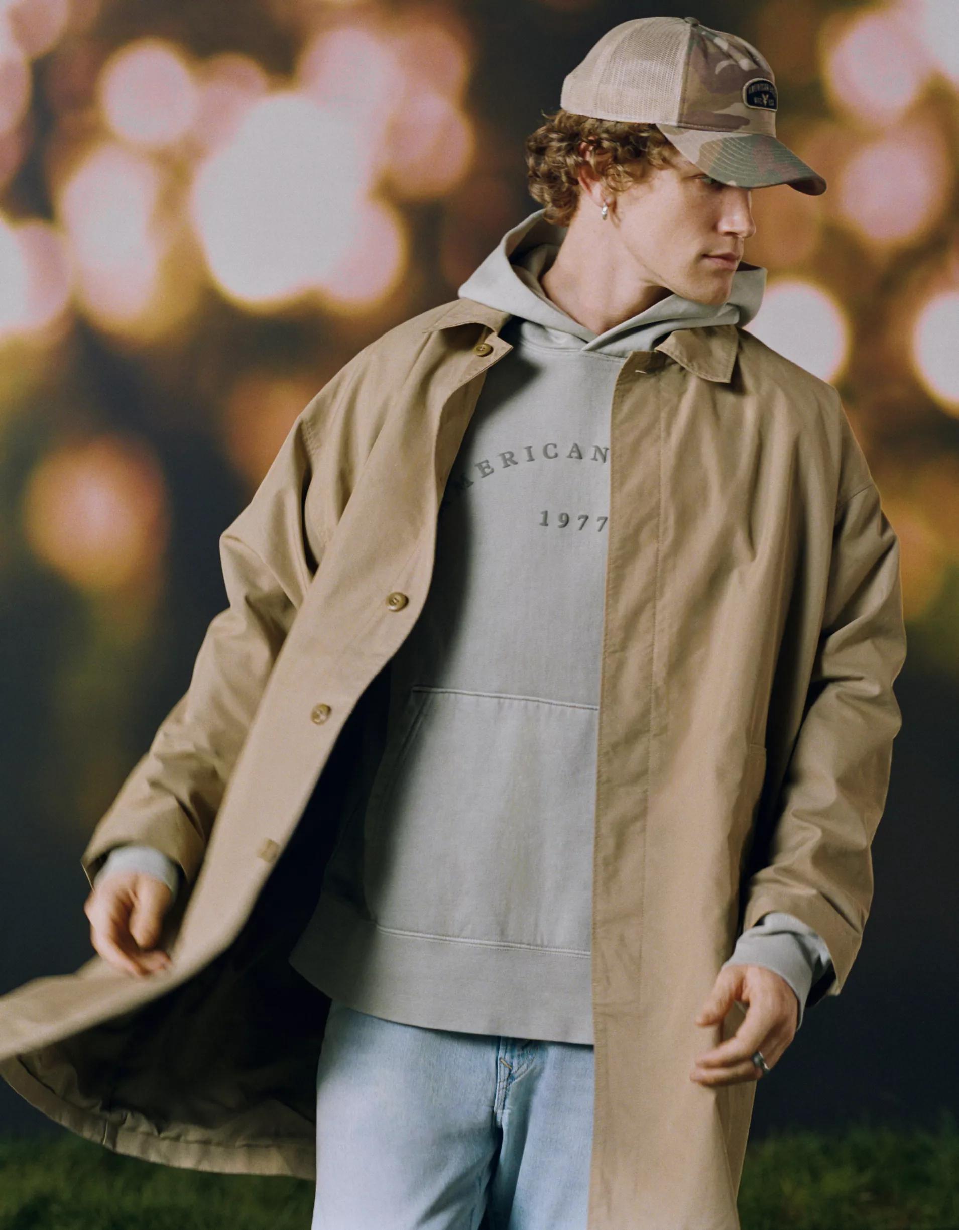 AE Laidback Luxe Heavyweight Logo Hoodie Product Image