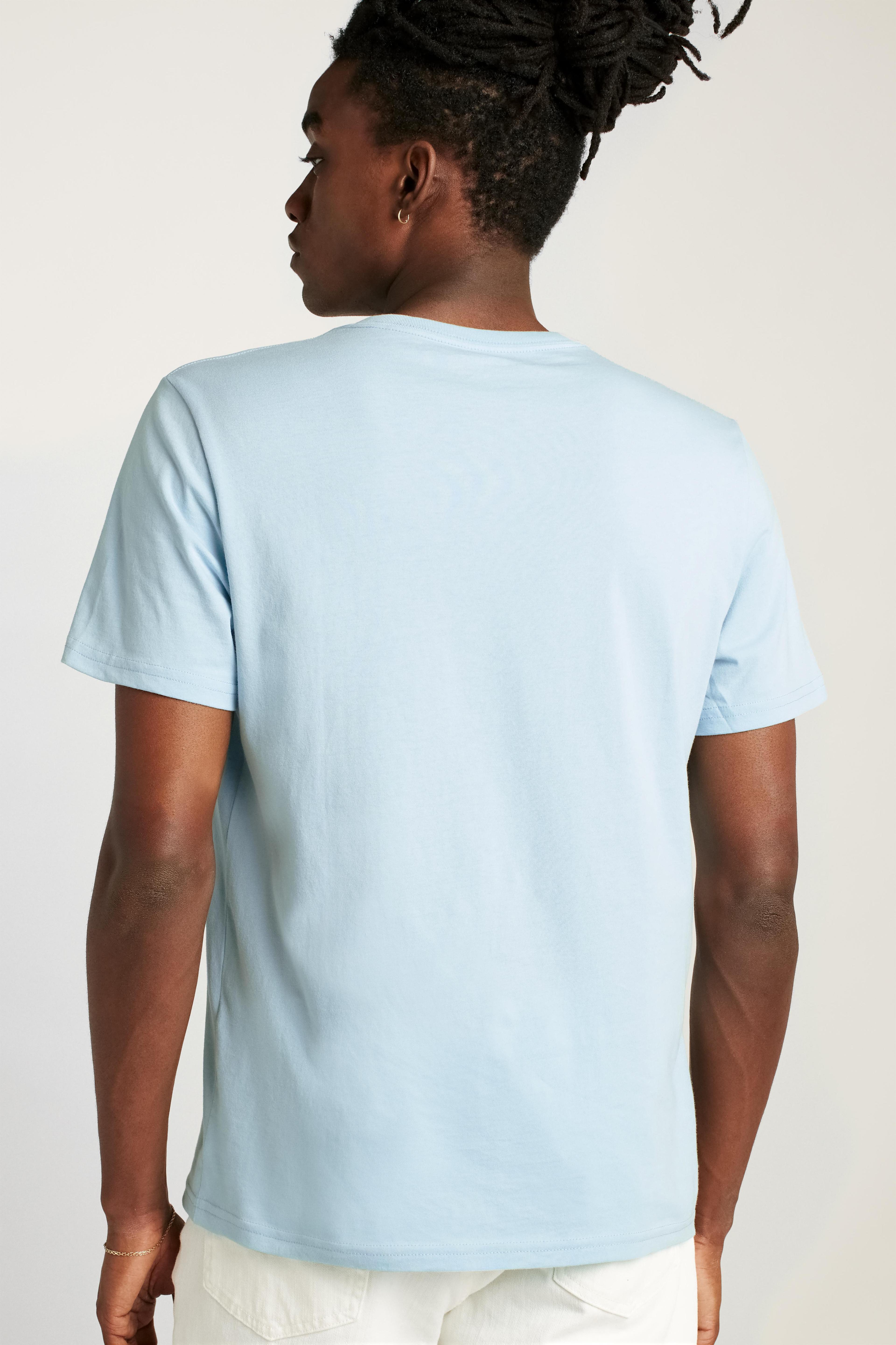 Organic Cotton V-Neck Tee Product Image