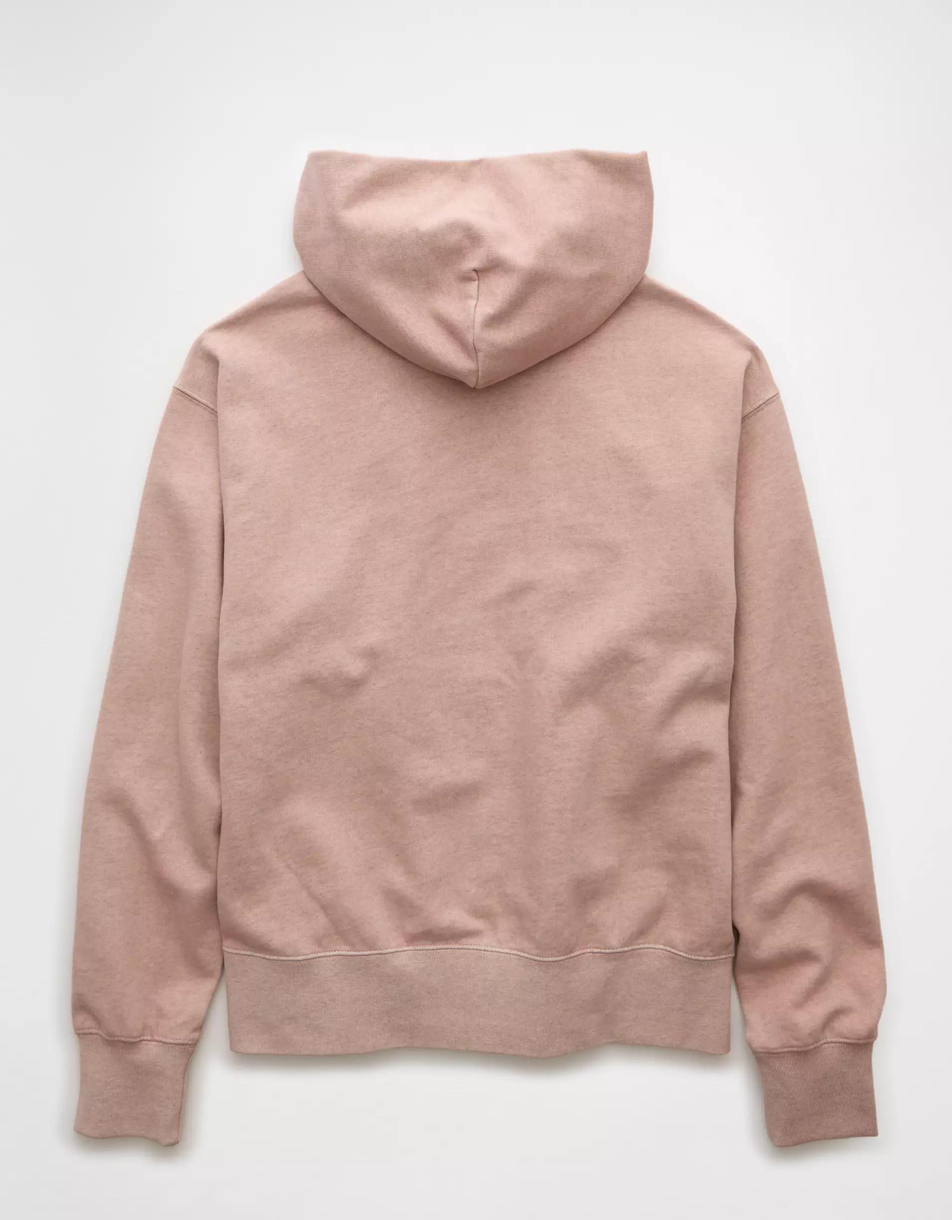 AE Laidback Luxe Heavyweight Logo Hoodie Product Image