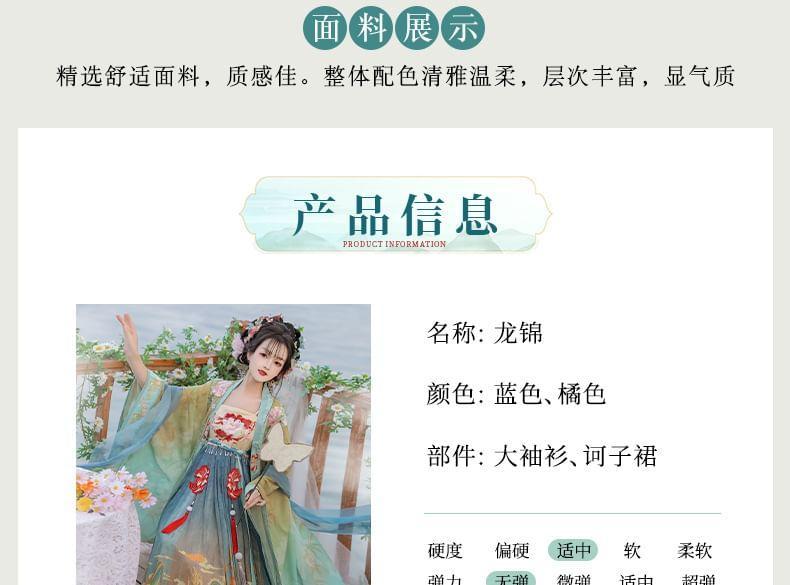 Set: Floral Embroidered Hanfu Maxi Dress + Long Light Jacket + Scarf + Fish Hanging Deco Product Image