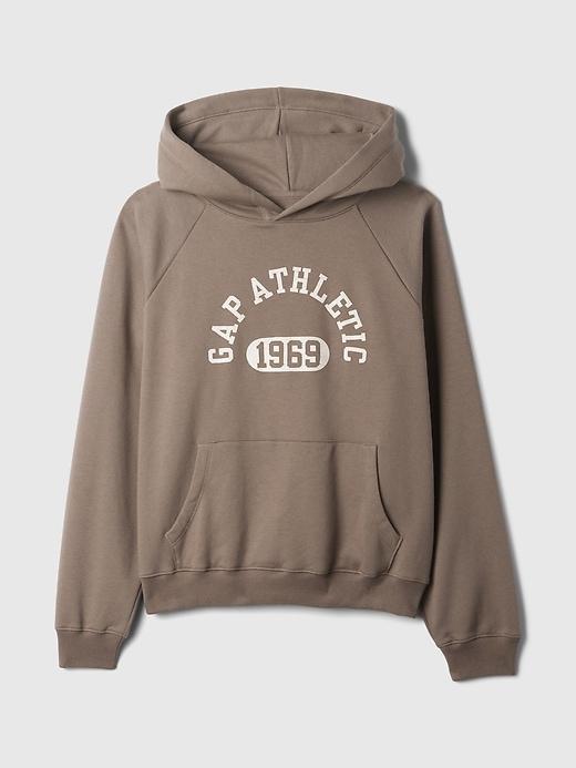 VintageSoft Hoodie Product Image