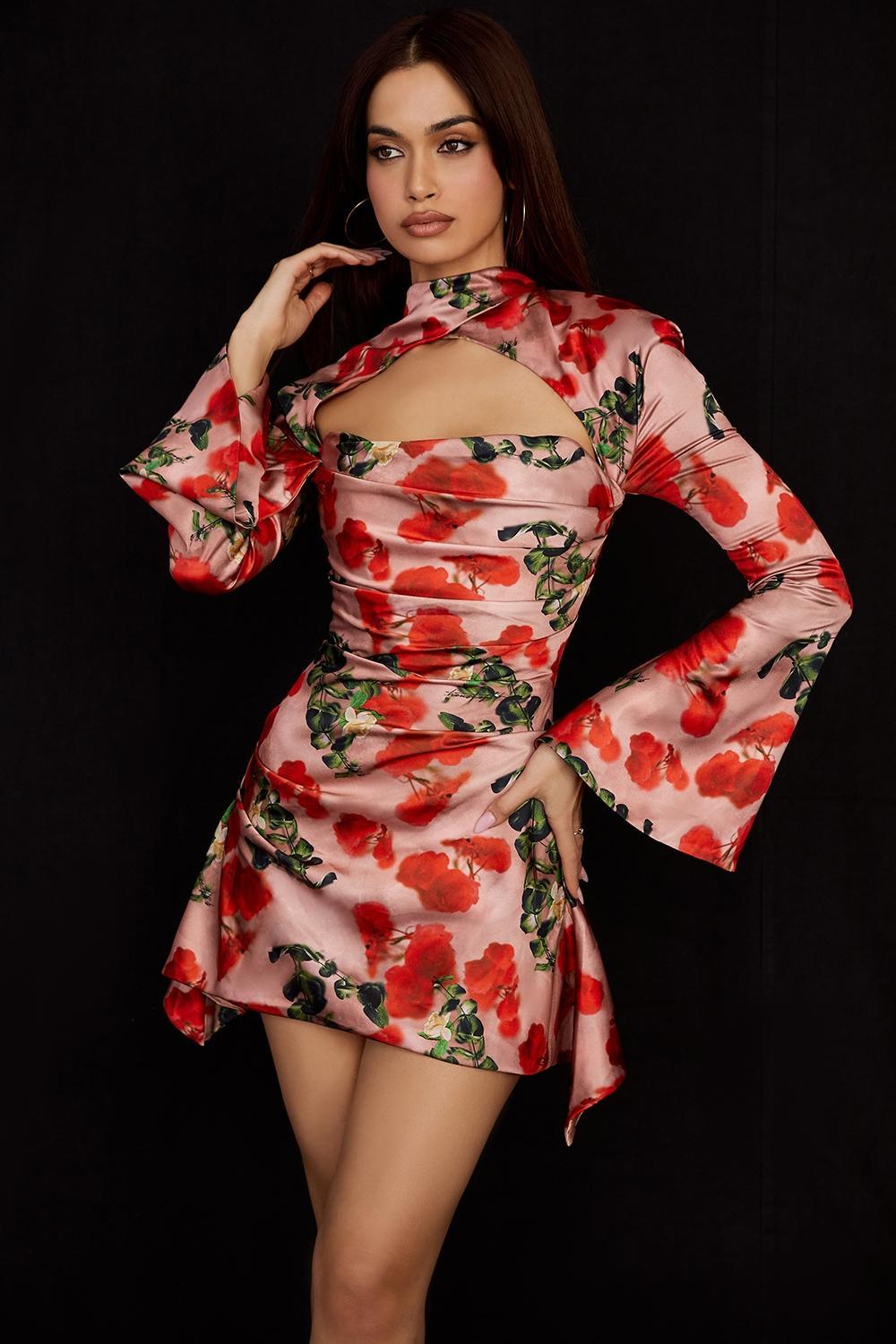 Toira Rose Print Draped Corset Dress Product Image