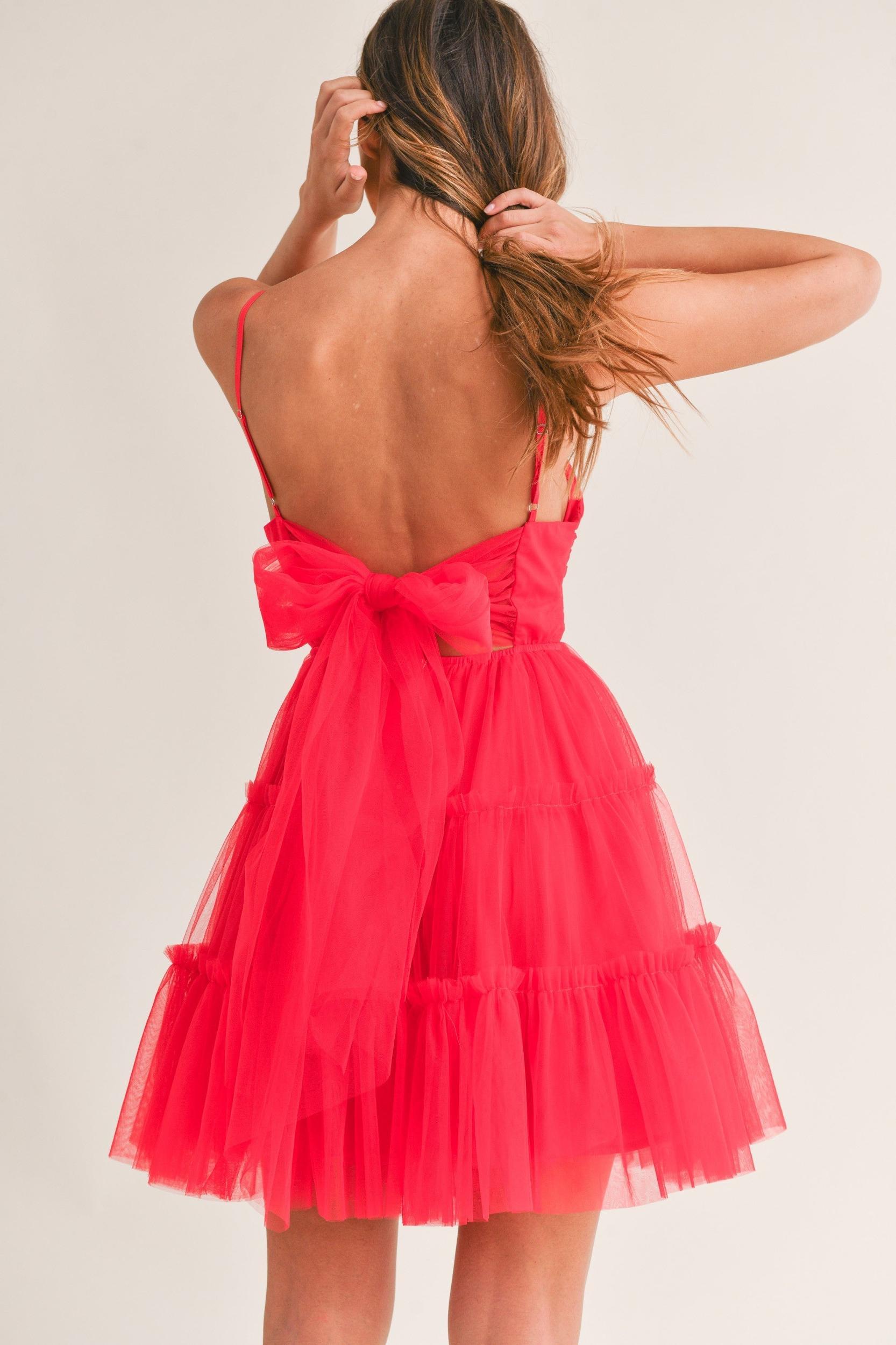 Tulle Mesh Bow Back Mini Dress Product Image