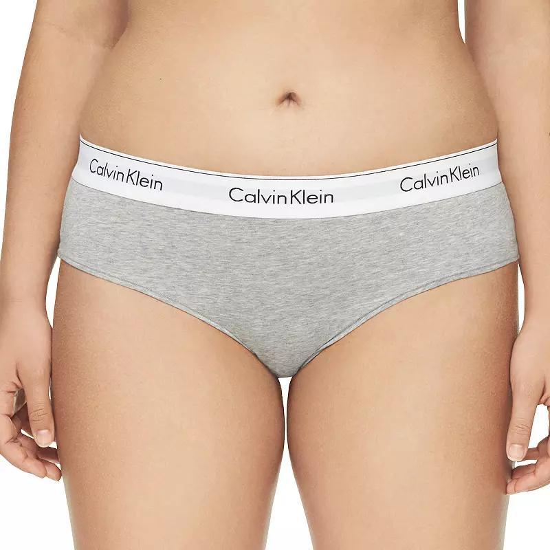 Calvin Klein Womens Icon Cotton Modal Plus Hipster - Grey Product Image