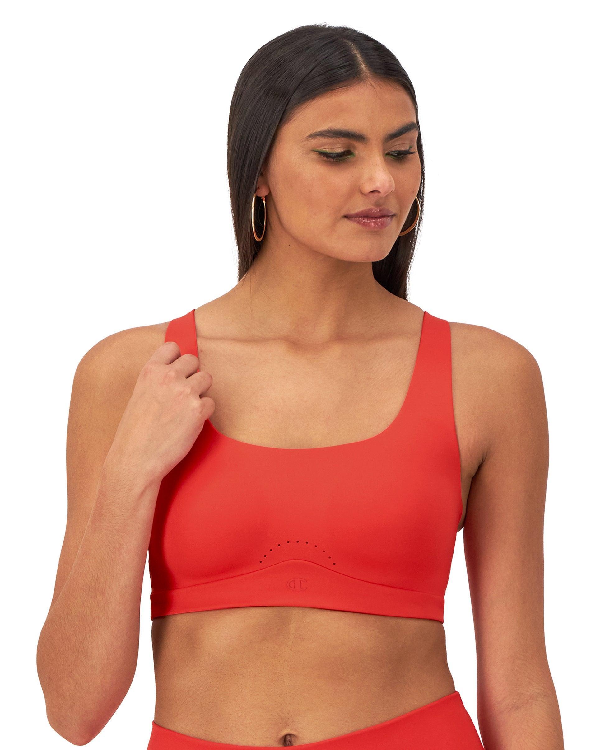 Womens Champion Motion Control High-Impact Sports Bra (Hybrid Sizing) Black XL/DD Product Image