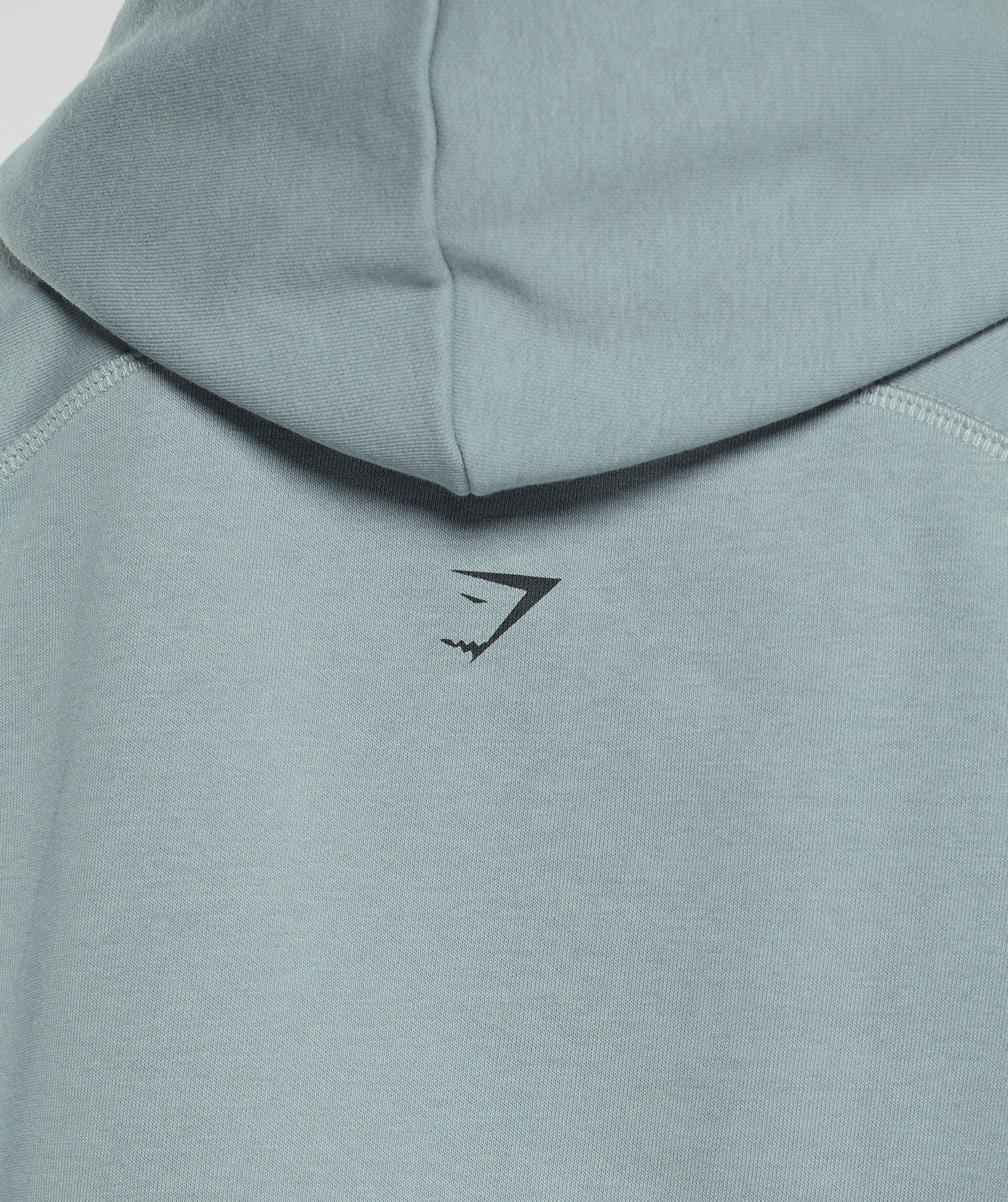 Care Label Graphic Brushed Hoodie Product Image