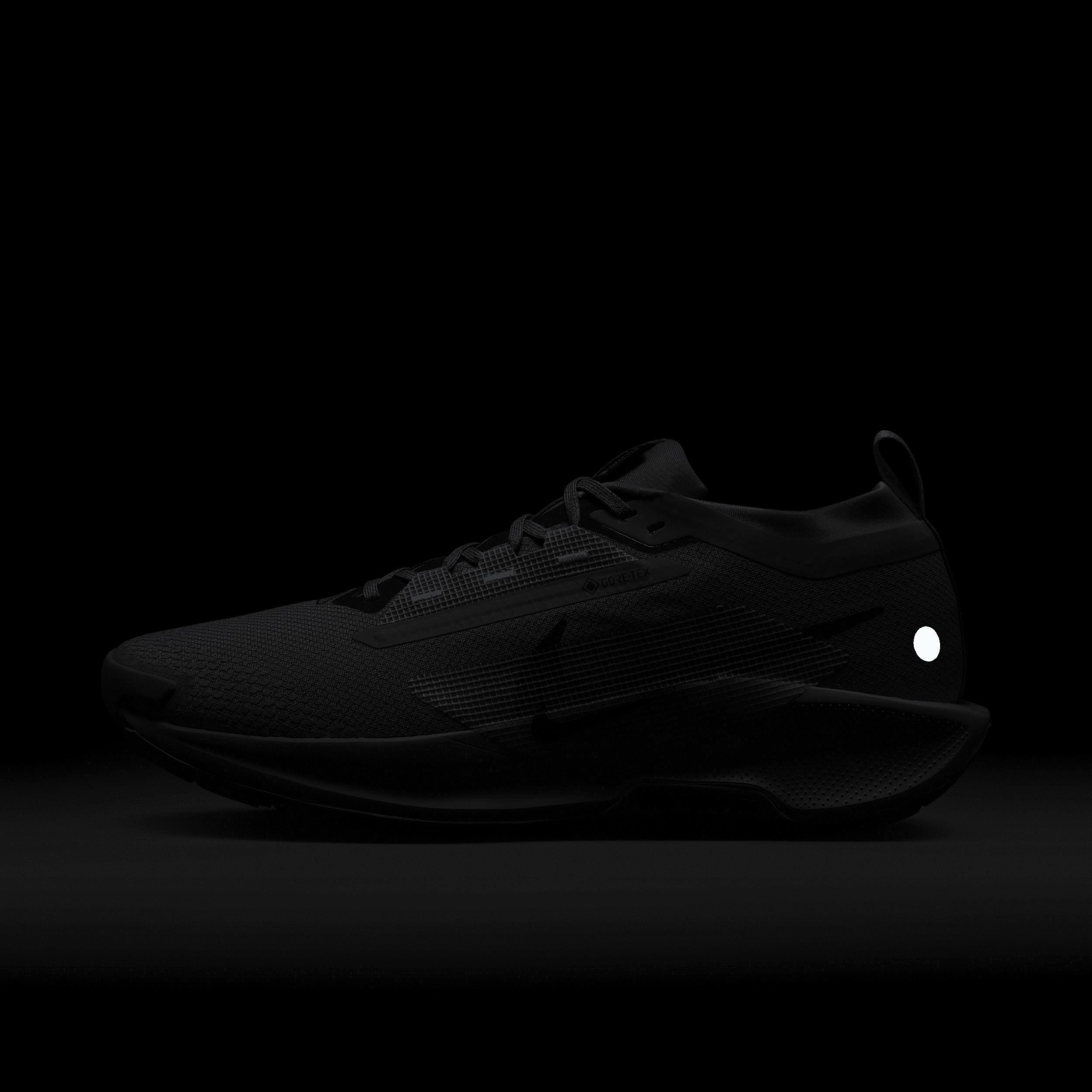 Nike Men's Pegasus Trail 5 GORE-TEX Waterproof Trail Running Shoes Product Image