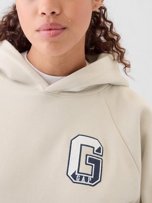 VintageSoft Hoodie Product Image