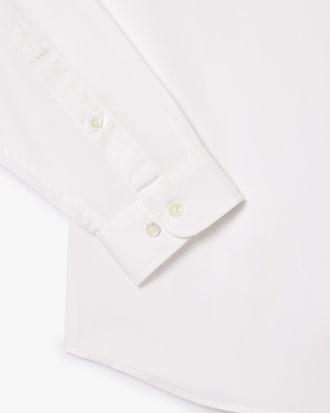 Regular Fit Cotton Shirt Product Image