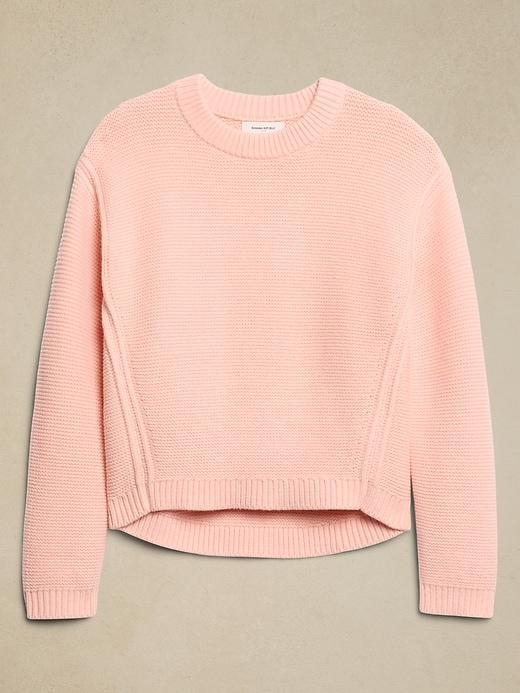 Textured Stitch Pullover Sweater Product Image