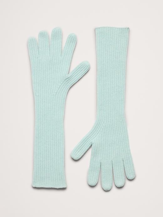 Signature Cashmere Long Gloves Product Image