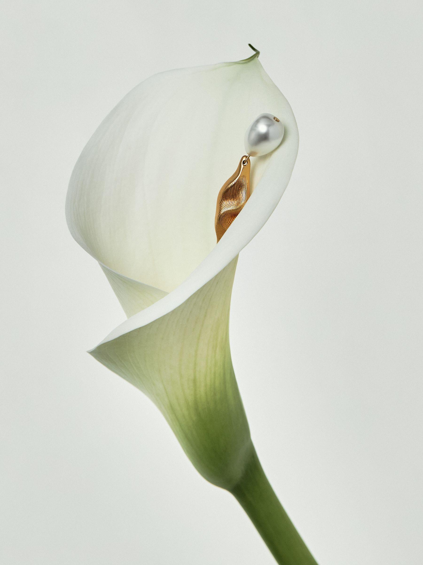 Tone Necklace in Gold Product Image