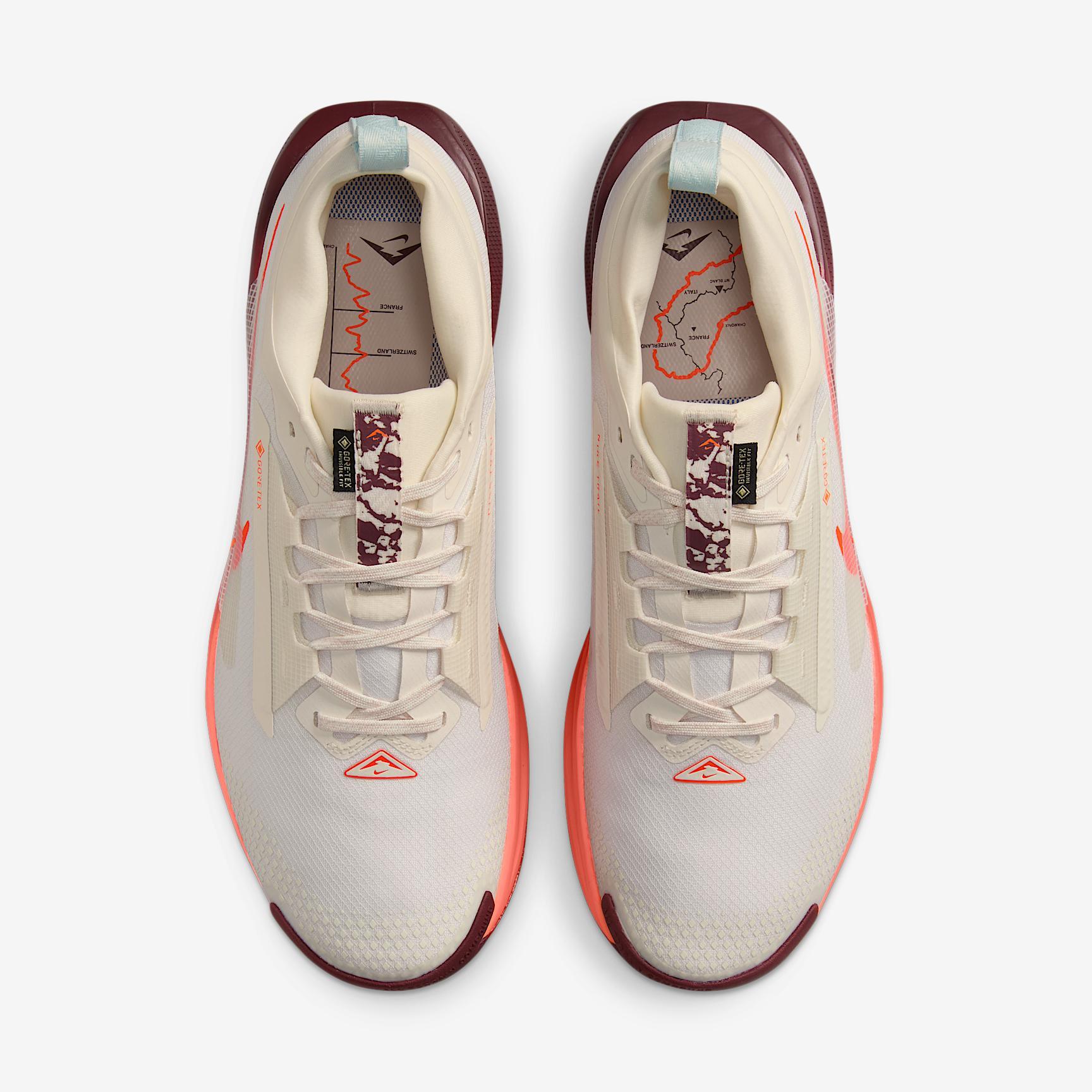 Nike Mens Pegasus Trail 5 GORE-TEX Waterproof Trail Running Shoes | FQ0908-104 Product Image