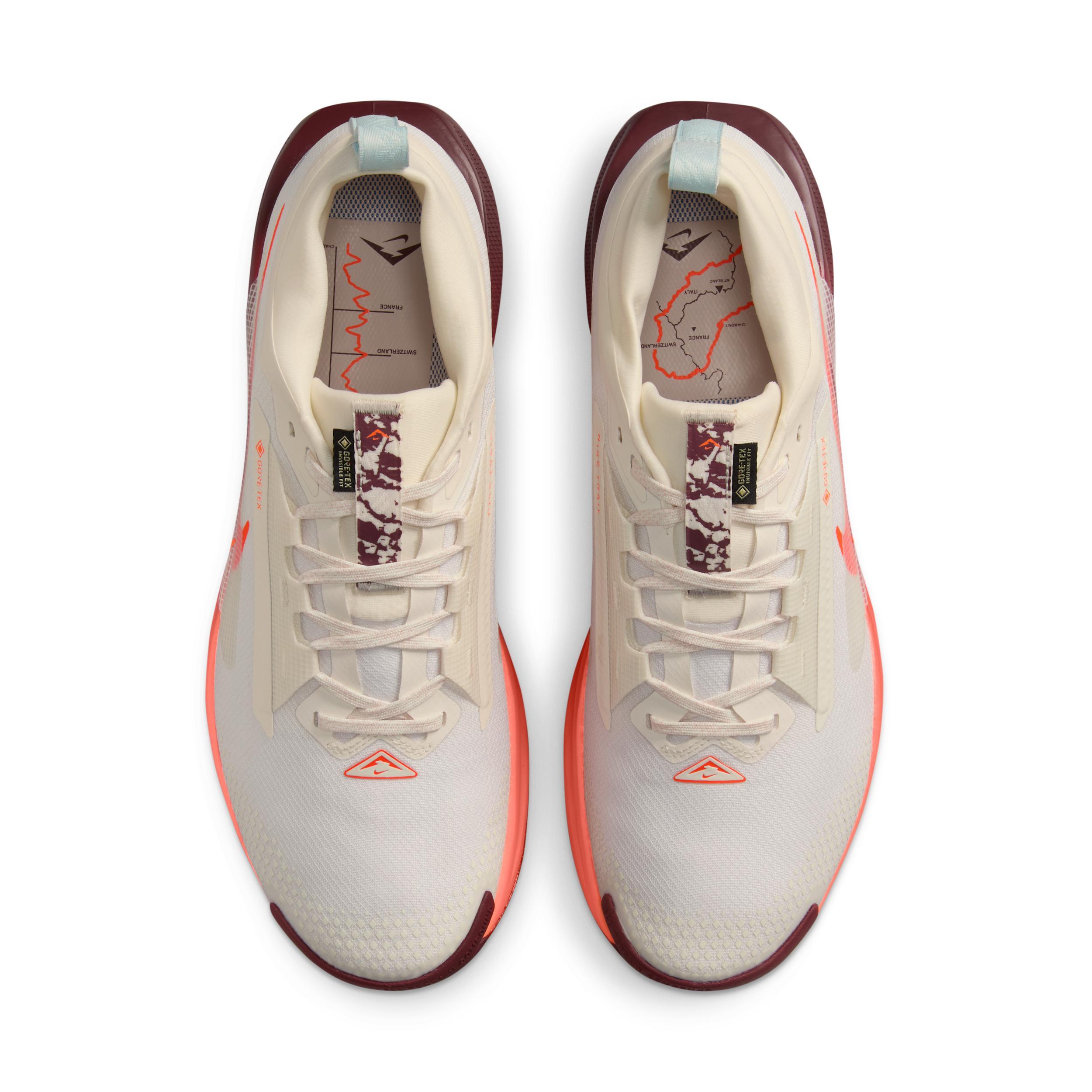 Nike Mens Pegasus Trail 5 GORE-TEX Waterproof Trail Running Shoes | FQ0908-104 Product Image