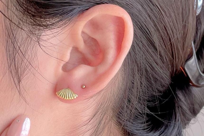 Shell Stud Earring Product Image