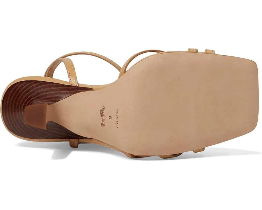 Tillie Leather Sandal Product Image