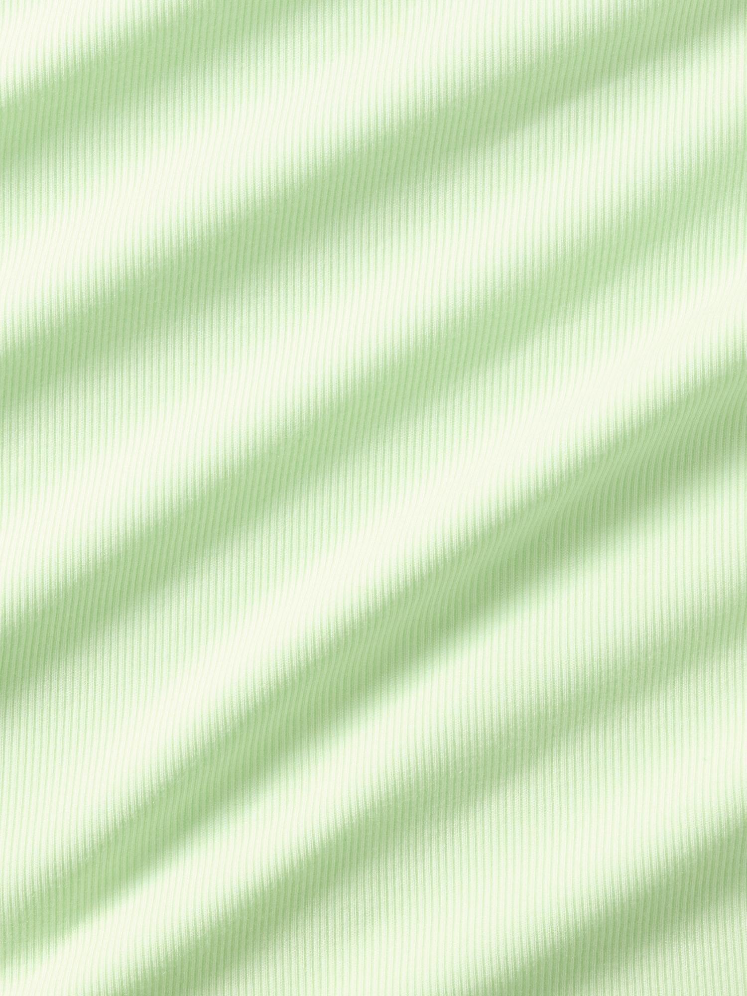 Signature Rib Crop Tee Product Image