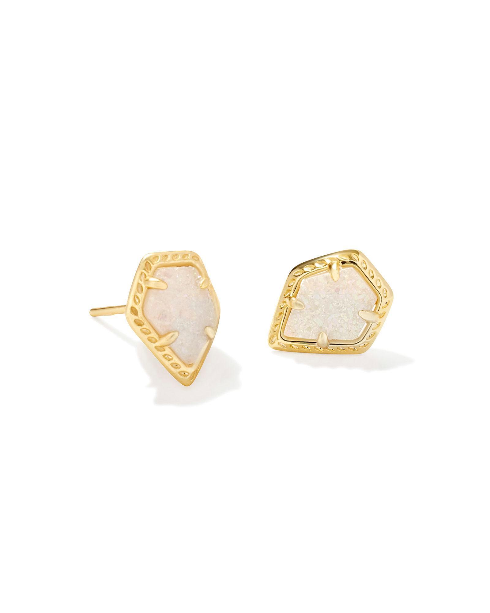 Framed Silver Tessa Stud Earrings in Platinum Drusy Product Image