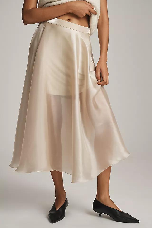 Bl-nk Full Shimmer Midi Skirt Product Image