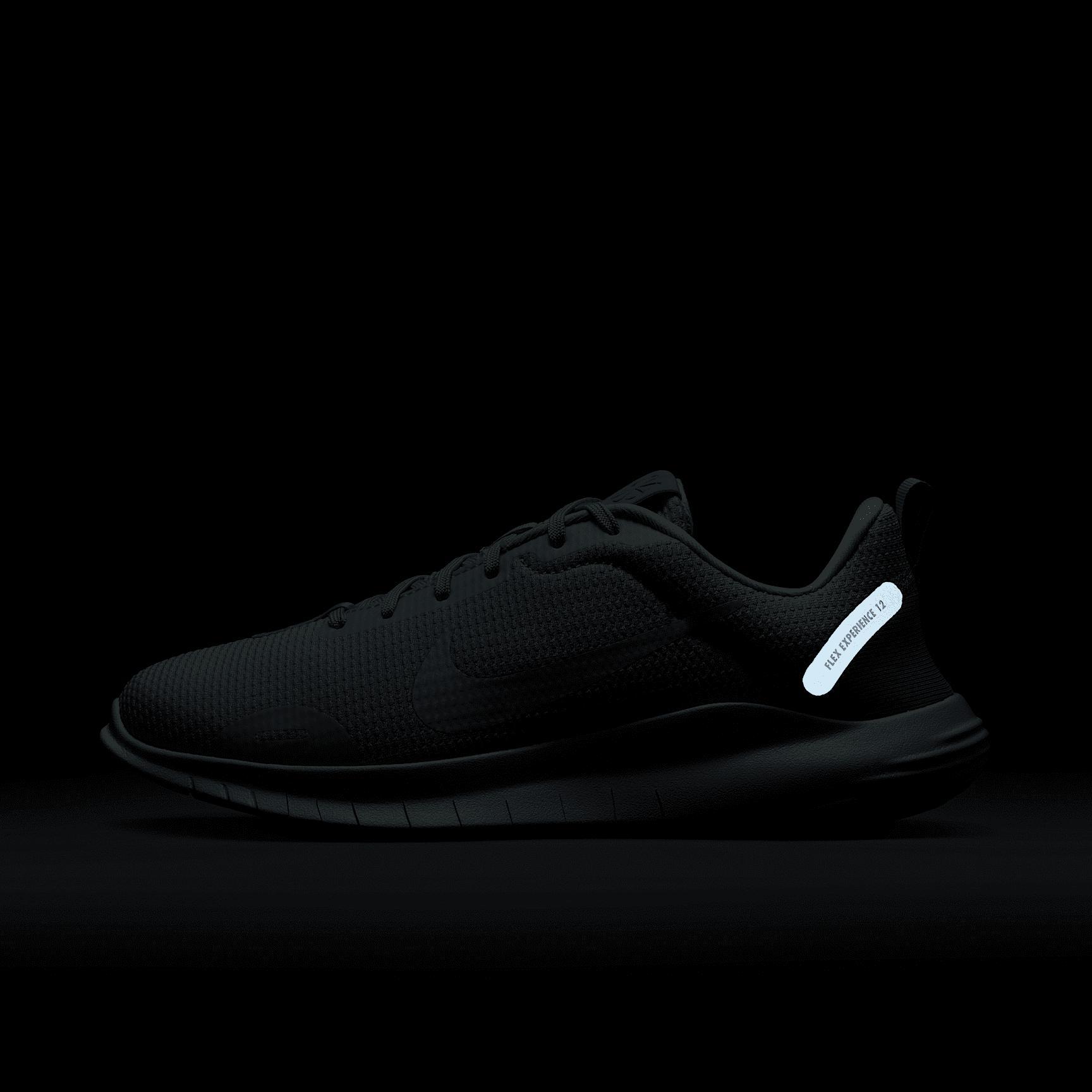 Nike Flex Experience Run 12 Women's Road Running Shoes (Extra Wide) Product Image